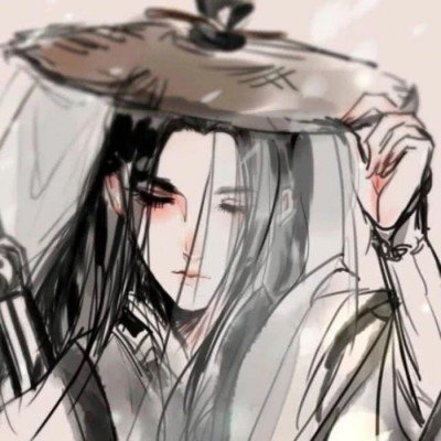 郑丽文参观国产飞机